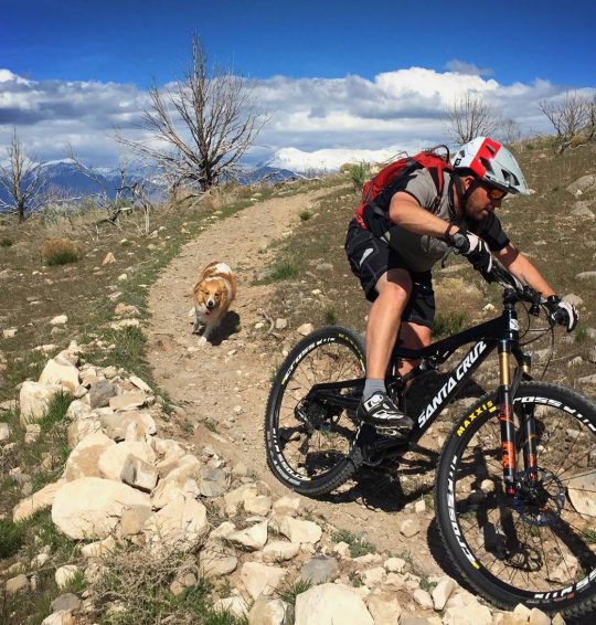 Mountain Bike Dog Basics