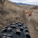 February Fat Bike Trail Ride