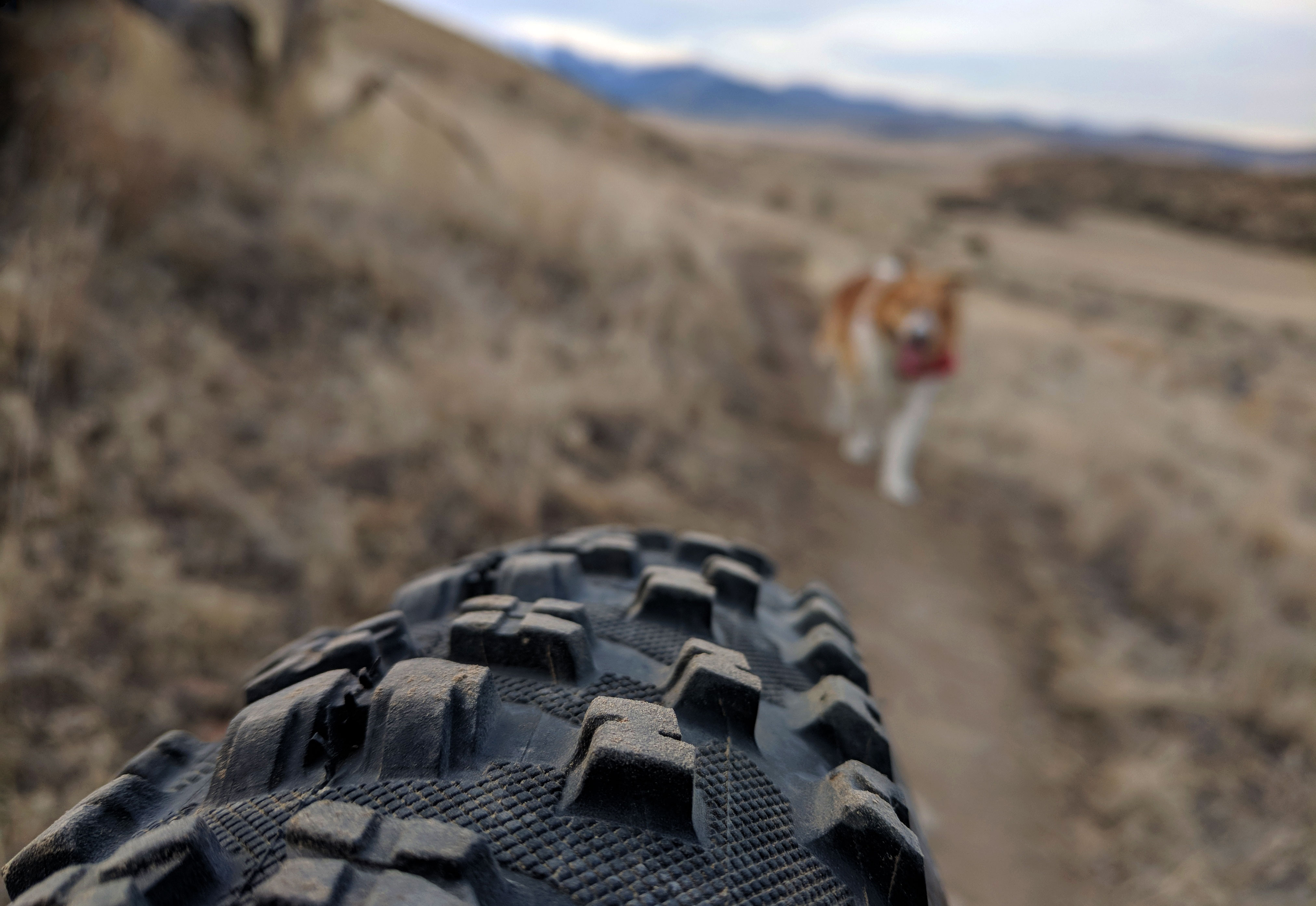 February Fat Bike Trail Ride