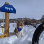 Winter Solstice Fat Bike Ride