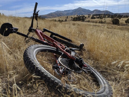 Mountain Bike in cured grass