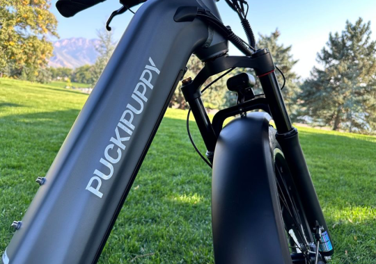 PuckiPuppy Boxer ST Full Suspension eBike Review