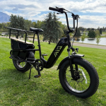 TST 20″ Carrier Cargo eBike Full Review