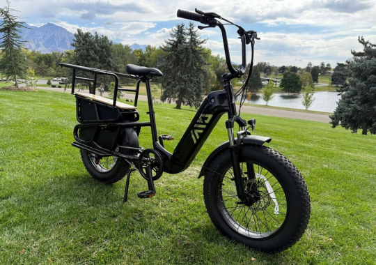 TST 20″ Carrier Cargo eBike Full Review