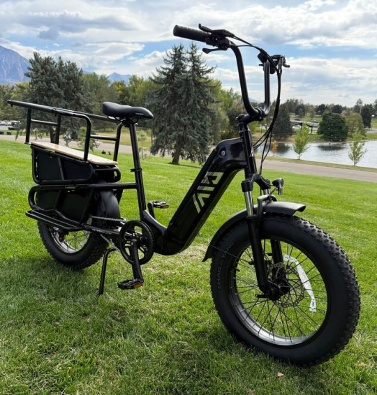 TST 20″ Carrier Cargo eBike Full Review